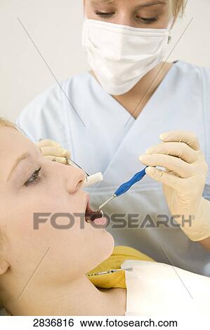 Female dentist examining patient's teeth View Large Photo Image Stock Photograph - Female dentist examining patient's teeth . Fotosearch