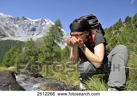 Stock Photograph - Female hiker drinking from a mountain stream in Southern Tyrol, in the background the Ortler Alps . Fotosearch