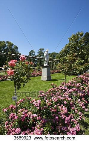 Stock Image - Flower island Mainau, Baden-Wuerttemberg, Germany, Europe . Fotosearch
