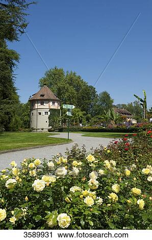 Stock Image - Flower island Mainau, Baden-Wuerttemberg, Germany, Europa . Fotosearch
