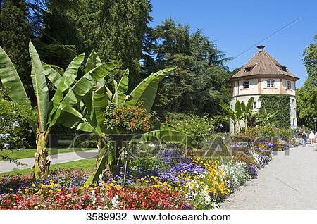 Flower island Mainau, Baden-Wuerttemberg, Germany, Europa View Large Photo Image Stock Image - Flower island Mainau, Baden-Wuerttemberg, Germany, Europa . Fotosearch