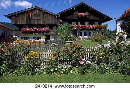 Flowers blooming in lawn in front of houses, Bavaria, Germany View Large Photo Image Picture - Flowers blooming in lawn in front of houses, Bavaria, Germany . Fotosearch