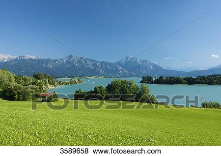 Forggensee, Bavaria, Germany, Europe View Large Photo Image Stock Photo - Forggensee, Bavaria, Germany, Europe . Fotosearch