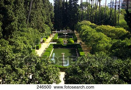 Formal garden in palace, Garden Of The Poets, Alcazar Palace, Seville, Seville Province, Andalusia, Spain View Large Photo Image Stock Image - Formal garden in palace, Garden Of The Poets, Alcazar Palace, Seville, Seville Province, Andalusia, Spain . Fotosearch
