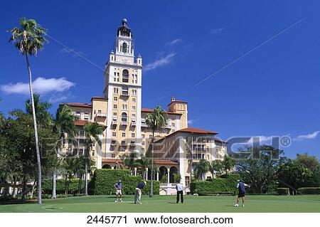 Four men playing golf in golf course, Biltmore Hotel, Florida, USA View Large Photo Image Stock Image - Four men playing golf in golf course, Biltmore Hotel, Florida, USA . Fotosearch