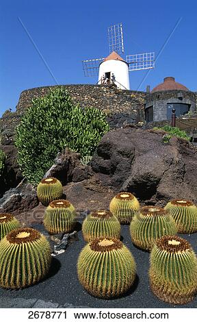 Stock Image - Garden in front of traditional windmill, Lanzarote, Canary Islands, Spain . Fotosearch