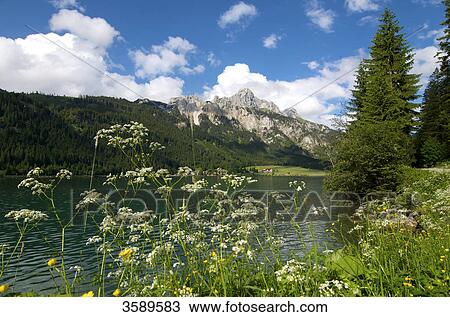 Stock Image - Haldensee and Gimpel, Tyrol, Asutria, Europe . Fotosearch