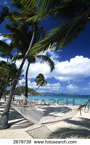 Hammock on the beach, Peter Island, British Virgin Islands View Large Photo Image Stock Photo - Hammock on the beach, Peter Island, British Virgin Islands . Fotosearch