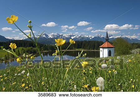 Hergratsrieder See, Allgaeu, Bavaria, Germany, Europe View Large Photo Image Stock Image - Hergratsrieder See, Allgaeu, Bavaria, Germany, Europe . Fotosearch