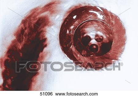Stock Photograph - High angle view of blood in bathroom sink . Fotosearch