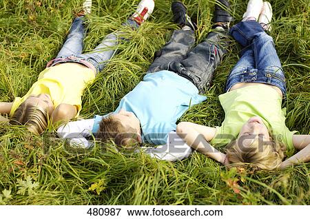 High angle view of brother and sisters lying on grass View Large Photo Image Stock Photo - High angle view of brother and sisters lying on grass . Fotosearch