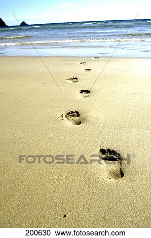 High angle view of footprints on sand View Large Photo Image Stock Image - High angle view of footprints on sand . Fotosearch
