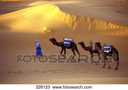 Stock Image - High angle view of person leading camels in desert . Fotosearch