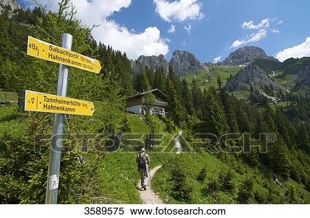 Hiking trail to Tannheim hut, Tannheim Mountains, Tyrol, Austria, Europe View Large Photo Image Stock Photography - Hiking trail to Tannheim hut, Tannheim Mountains, Tyrol, Austria, Europe . Fotosearch