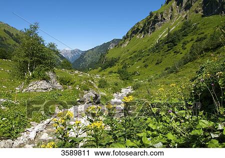 Hintersteiner Tal, Bad Hindelang, Allgaeu, Bavaria, Germany, Europe View Large Photo Image Stock Image - Hintersteiner Tal, Bad Hindelang, Allgaeu, Bavaria, Germany, Europe . Fotosearch