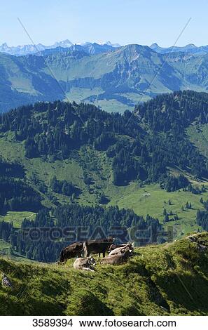 Hochgrat near Oberstaufen, Allgaeu Alps, Bavaria, Germany, Europe View Large Photo Image Picture - Hochgrat near Oberstaufen, Allgaeu Alps, Bavaria, Germany, Europe . Fotosearch