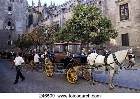 Horse drawn carriage in front of cathedral, Seville Cathedral, Andalusia, Spain View Large Photo Image Stock Photo - Horse drawn carriage in front of cathedral, Seville Cathedral, Andalusia, Spain . Fotosearch