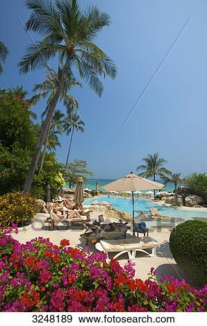 Hotel Imperial, Chaweng Beach, Ko Samui, Thailand View Large Photo Image Stock Photo - Hotel Imperial, Chaweng Beach, Ko Samui, Thailand . Fotosearch