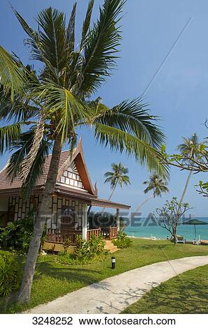 Hotel, Lamai Beach, Ko Samui, Thailand View Large Photo Image Stock Image - Hotel, Lamai Beach, Ko Samui, Thailand . Fotosearch
