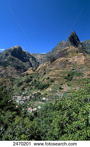 Houses at hillside, Serra De Agua, Madeira, Portugal View Large Photo Image Stock Image - Houses at hillside, Serra De Agua, Madeira, Portugal . Fotosearch