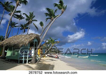 Huts on beach, Bavaro Beach, Dominican Republic View Large Photo Image Stock Image - Huts on beach, Bavaro Beach, Dominican Republic . Fotosearch