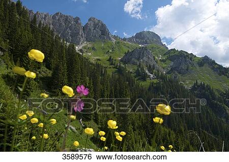 Stock Photograph - Koellenspitze and Tannheim hut, Tannheim Mountains, Tyrol, Austria, Europe . Fotosearch