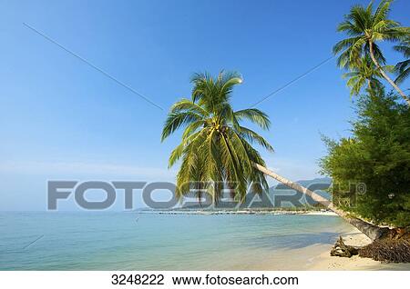 Stock Image - Lamai Beach, Ko Samui, Thailand . Fotosearch