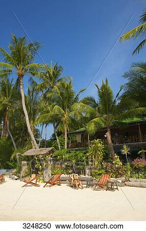 Stock Image - Lamai Beach, Ko Samui, Thailand . Fotosearch