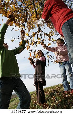 Low angle view of four children holding branch View Large Photo Image Stock Photo - Low angle view of four children holding branch . Fotosearch