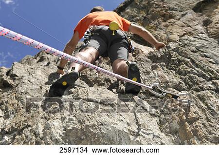Picture - Low angle view of mountain climber scaling rock face, Dolomites, Trentino-Alto Adige, Italy . Fotosearch