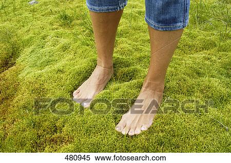 Low section view of woman standing on grass View Large Photo Image Stock Photography - Low section view of woman standing on grass . Fotosearch
