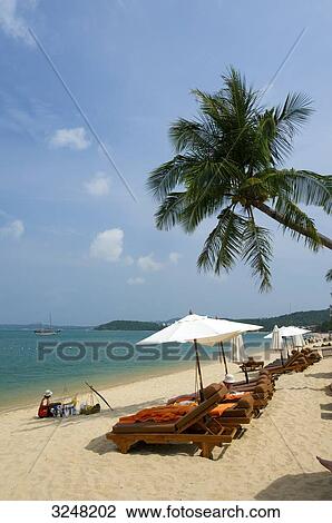 Mae Nam Beach, Insel Ko Samui, Thailand View Large Photo Image Stock Image - Mae Nam Beach, Insel Ko Samui, Thailand . Fotosearch