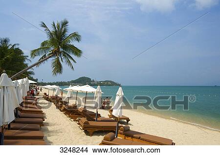 Picture - Mae Nam Beach, Ko Samui, Thailand . Fotosearch