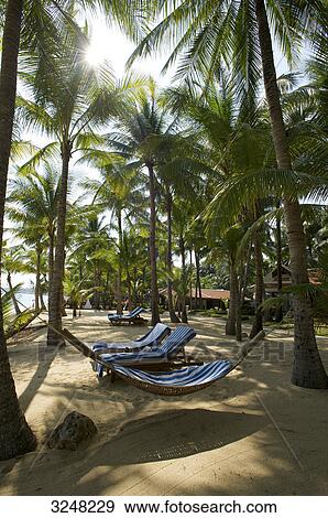Stock Photo - Mae Nam Beach, Ko Samui, Thailand . Fotosearch