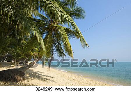 Stock Photo - Mae Nam Beach, Ko Samui, Thailand . Fotosearch
