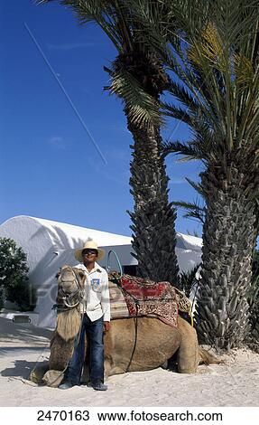 Stock Image - Man standing with camel, Djerba, Tunisia . Fotosearch