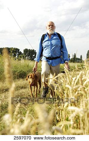 Stock Image - Mature man walking with dog in field . Fotosearch