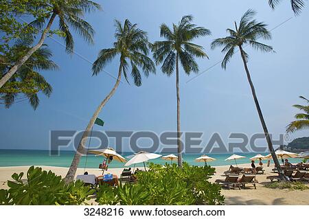 Stock Photograph - Palm beach, Chaweng Beach, Ko Samui, Thailand . Fotosearch