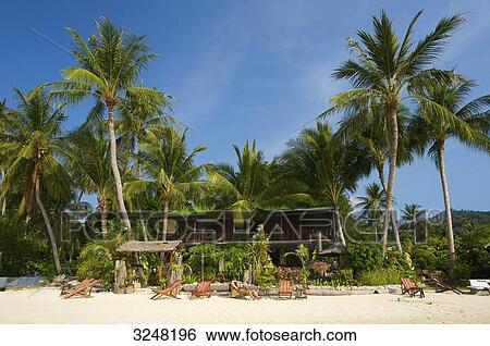 Stock Photograph - Palm beach, Ko Samui, Thailand . Fotosearch
