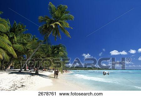 Palm trees and tourists on beach, Saona Island, Parque Nacional del Este, Punta Cana, Hispaniola, Dominican Republic View Large Photo Image Stock Image - Palm trees and tourists on beach, Saona Island, Parque Nacional del Este, Punta Cana, Hispaniola, Dominican Republic . Fotosearch