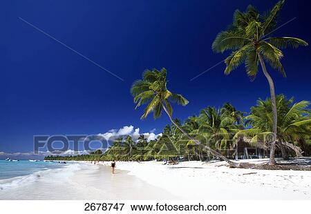 Stock Photo - Palm trees and tourists on beach, Saona Island, Parque Nacional del Este, Punta Cana, Hispaniola, Dominican Republic . Fotosearch