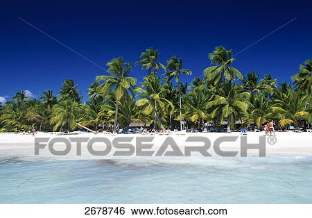 Palm trees and tourists on beach, Saona Island, Parque Nacional del Este, Punta Cana, Hispaniola, Dominican Republic View Large Photo Image Stock Photograph - Palm trees and tourists on beach, Saona Island, Parque Nacional del Este, Punta Cana, Hispaniola, Dominican Republic . Fotosearch