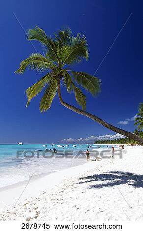 Palm trees and tourists on beach, Saona Island, Parque Nacional del Este, Punta Cana, Hispaniola, Dominican Republic View Large Photo Image Stock Photography - Palm trees and tourists on beach, Saona Island, Parque Nacional del Este, Punta Cana, Hispaniola, Dominican Republic . Fotosearch