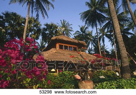 Stock Photo - Palm trees around hotel on island, Bali, Indonesia . Fotosearch