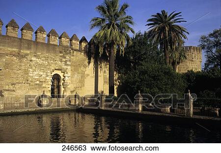Palm trees at castle, Alcazar de los Reyes Cristianos, Cordoba, Andalusia, Spain View Large Photo Image Stock Image - Palm trees at castle, Alcazar de los Reyes Cristianos, Cordoba, Andalusia, Spain . Fotosearch