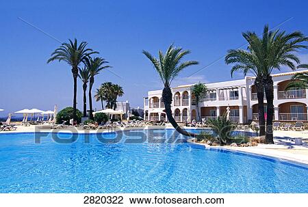 Stock Image - Palm trees at poolside, Talamanca, Ibiza, Balearic Islands, Spain . Fotosearch