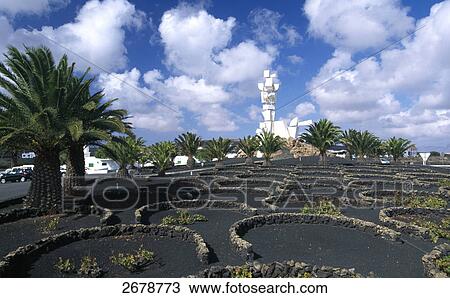 Palm trees in garden with monument in background, Monumento al Campesino, San Bartolome, Lanzarote, Canary Islands, Spain View Large Photo Image Stock Image - Palm trees in garden with monument in background, Monumento al Campesino, San Bartolome, Lanzarote, Canary Islands, Spain . Fotosearch