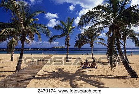Palm trees on beach, Playa de las Teresitas Beach, Santa Cruz de Tenerife, Canary Islands, Spain View Large Photo Image Picture - Palm trees on beach, Playa de las Teresitas Beach, Santa Cruz de Tenerife, Canary Islands, Spain . Fotosearch