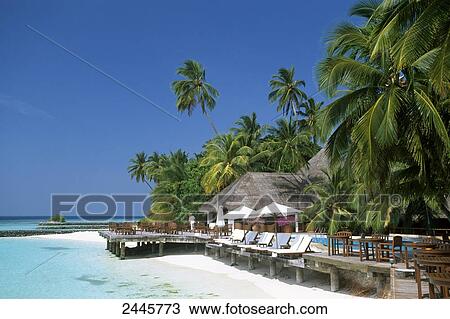 Stock Image - Palm trees with beach hut on the beach, Laamu Atoll, Maldives . Fotosearch