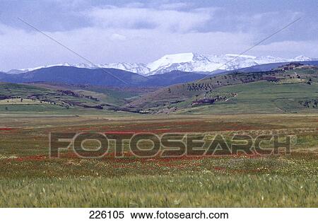 Stock Photography - Panoramic view of landscape, Atlas Mountains, Marrakesh, Morocco . Fotosearch